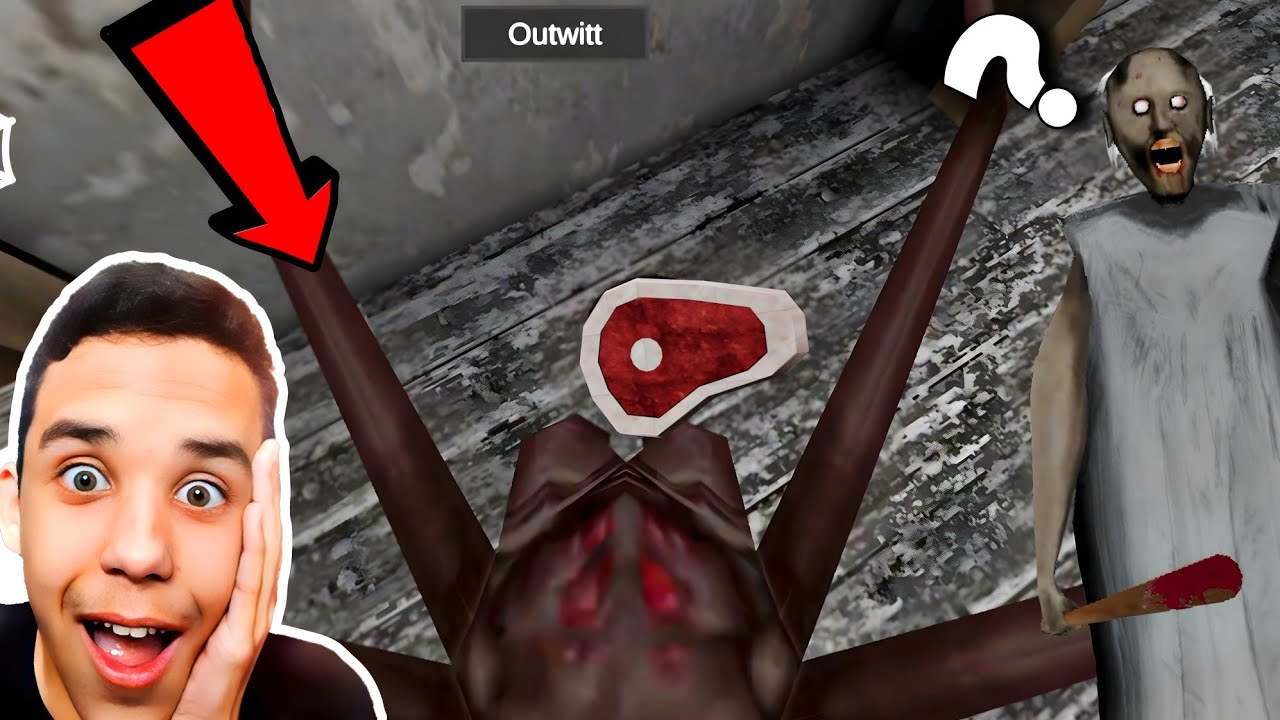 VIREI ARANHA DA GRANNY E FUGI DA CASA😱