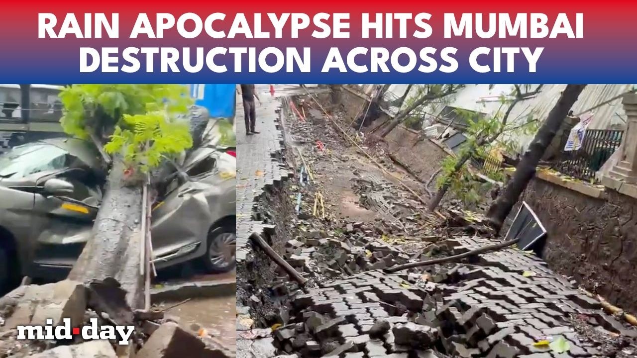 Tree Falls, Wall COLLAPSES: Mumbai Monsoon Mayhem | IMD Issues Red Alert As City Rain Turns VIOLENT