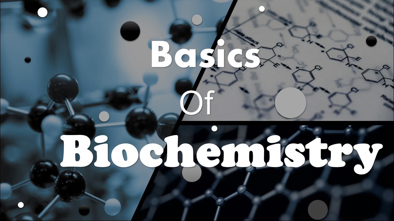 أساسيات الكيمياء وتأسيس طلاب الطب لدراسة الكيمياء الحيوية- biochemistry