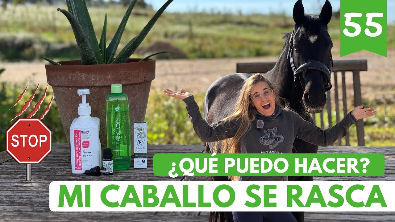 Mi caballo se RASCA sin parar 🐴 | Te cuento mi SOLUCIÓN natural (¡lo que me funciona!)