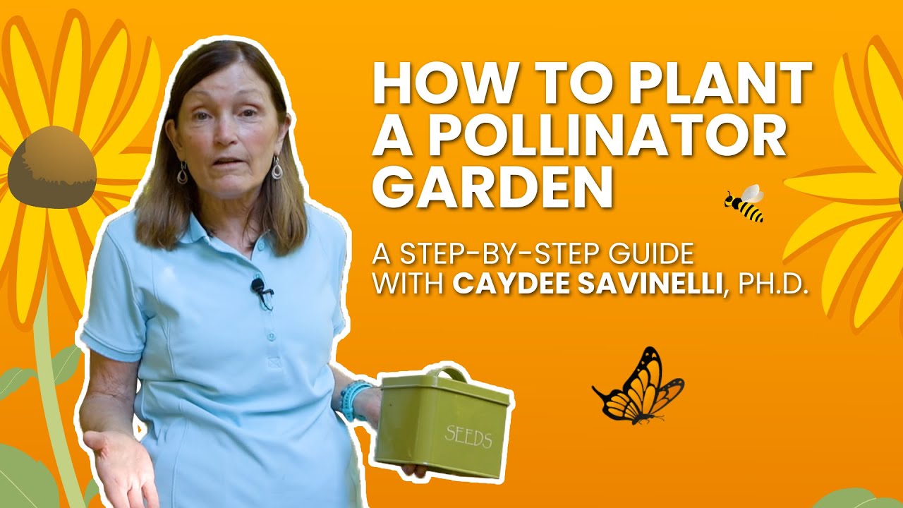 How to Plant a Pollinator Garden