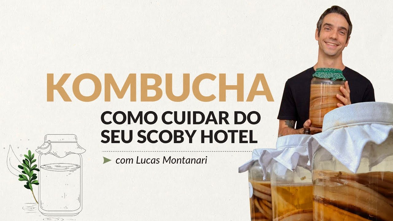 Como cuidar do 
