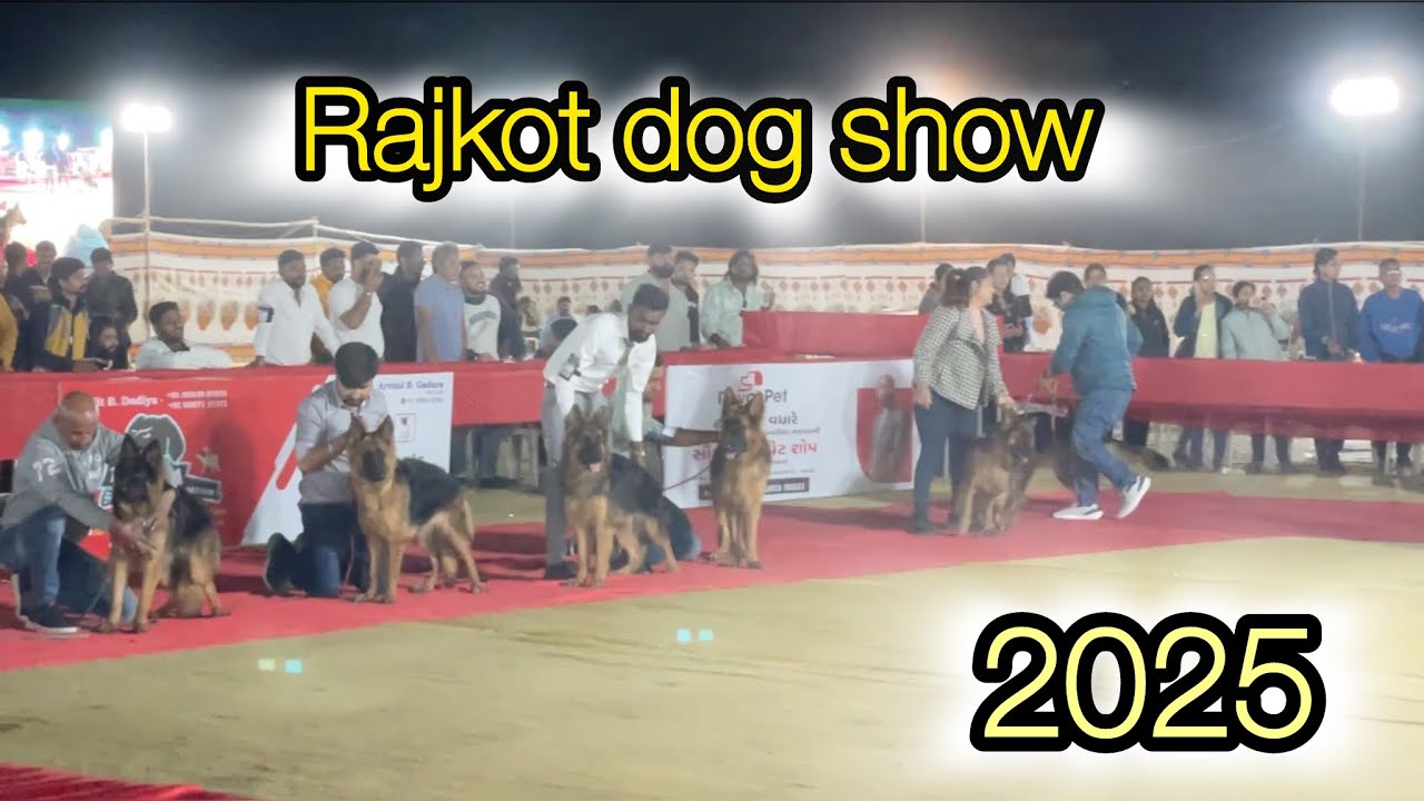 Rajkot dog show | Aki Ahir Photography