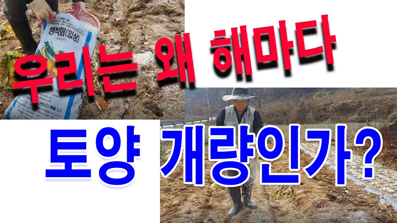 토양 산성화 이유. 우리는 왜 맨날 토양 개량인가?(산성 토양을 개량하기 위해 해마다 석회를 살포해야 하는 이유는 무엇일까 토양이 산성화 되어가는 이유 찾기)