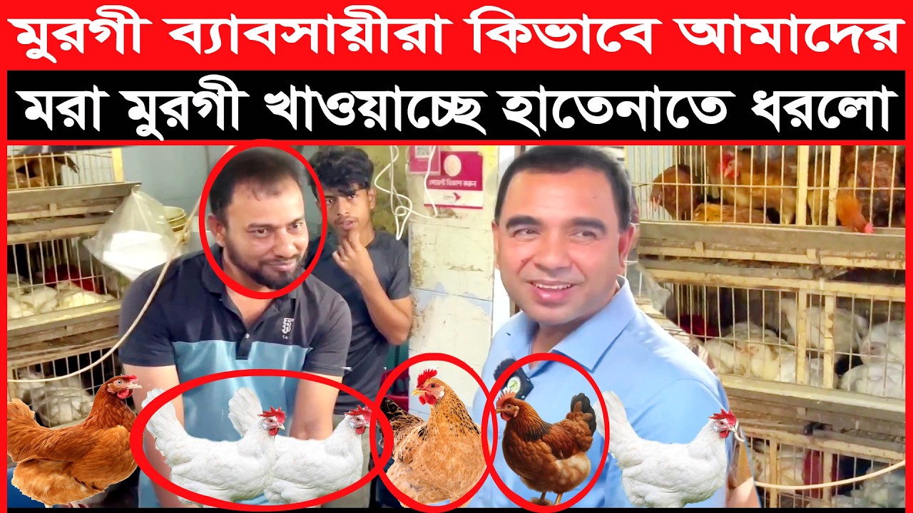 মরা মুরগি বিক্রি করার নতুন কৌশল ধরে ফেলল ভোক্তা অধিকার | vokta odhikar | vokta odhidoptor | অভিযান