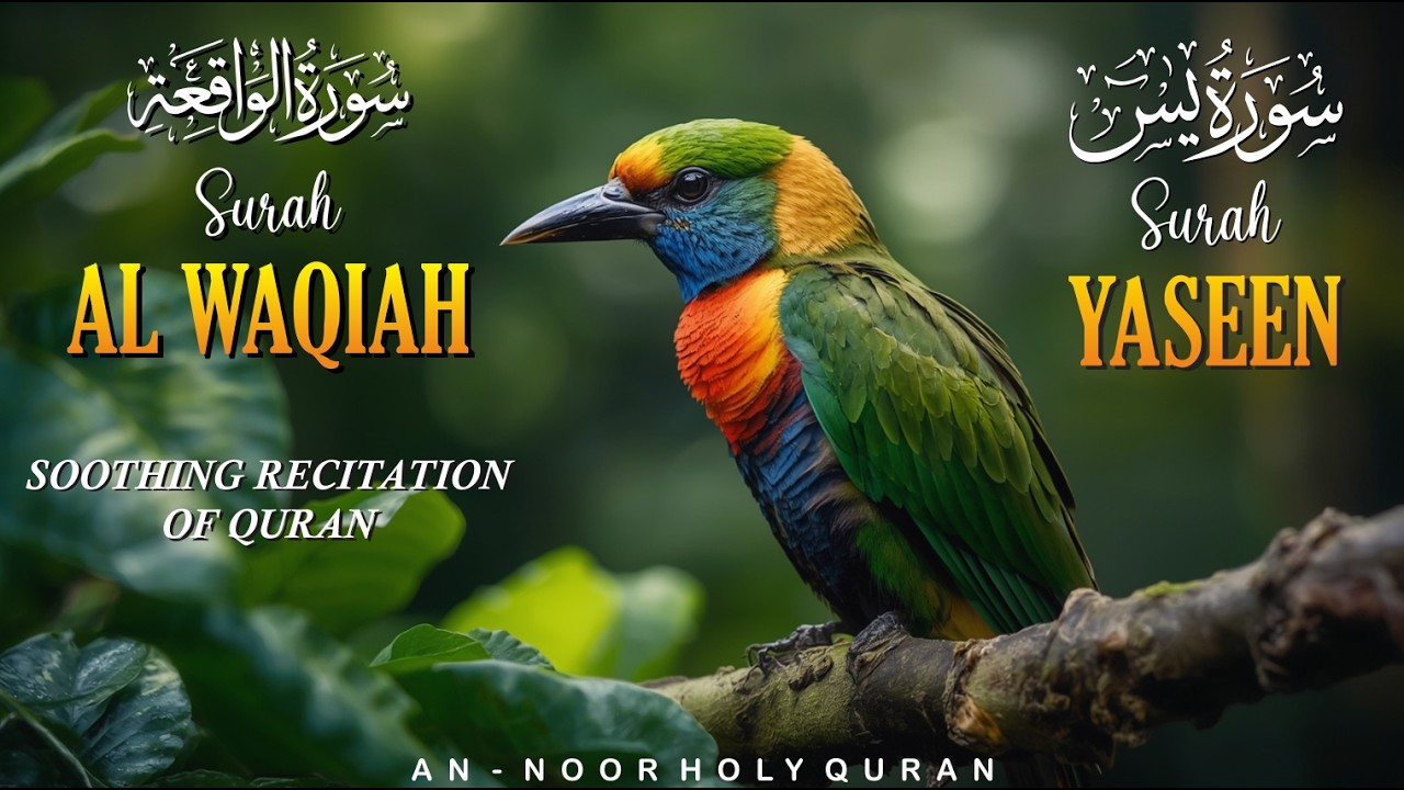 Ramadan Quran Recitation for Night Relaxation, Inner Peace ✦ Yaseen, Al Waqiah ✦ Soothing Quran