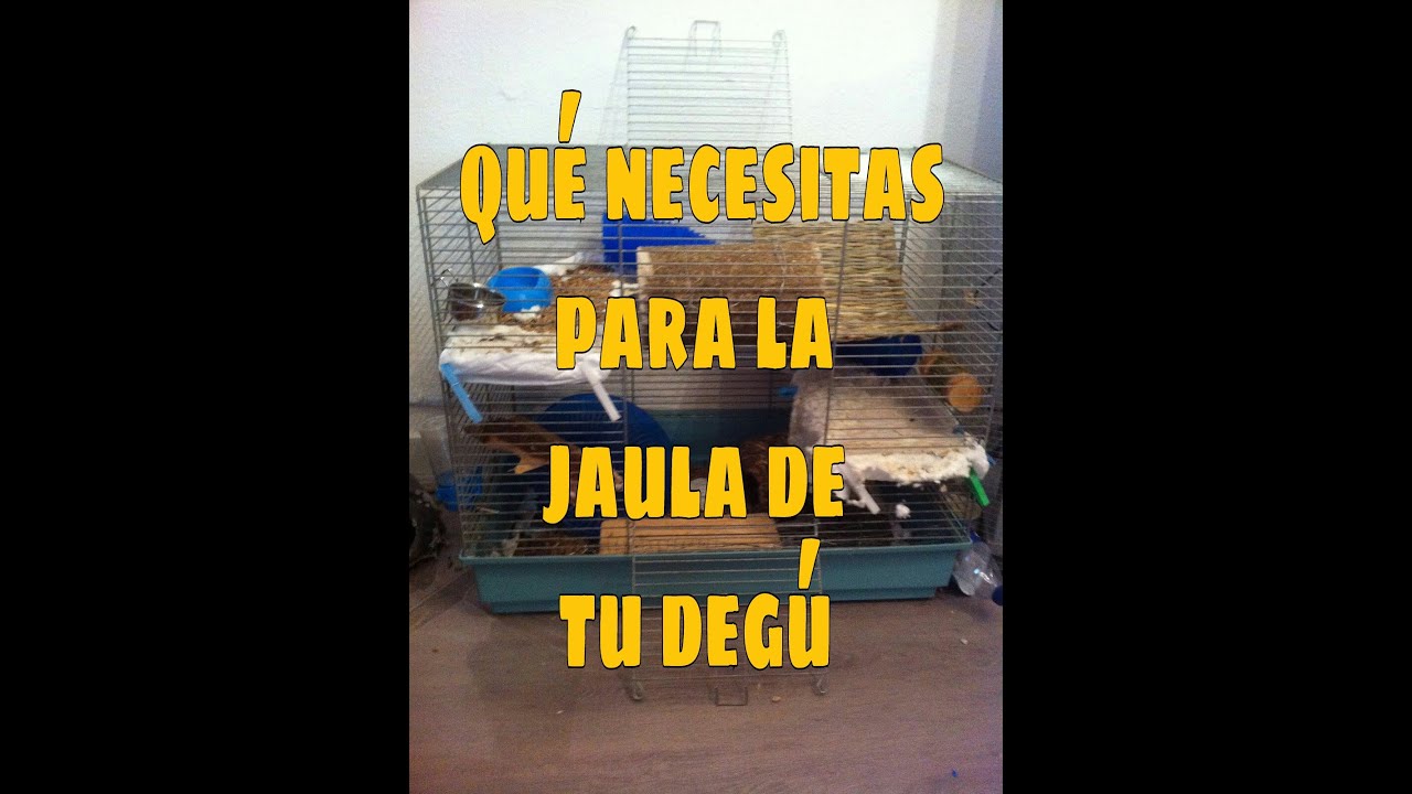 jaula para deg&uacute;s