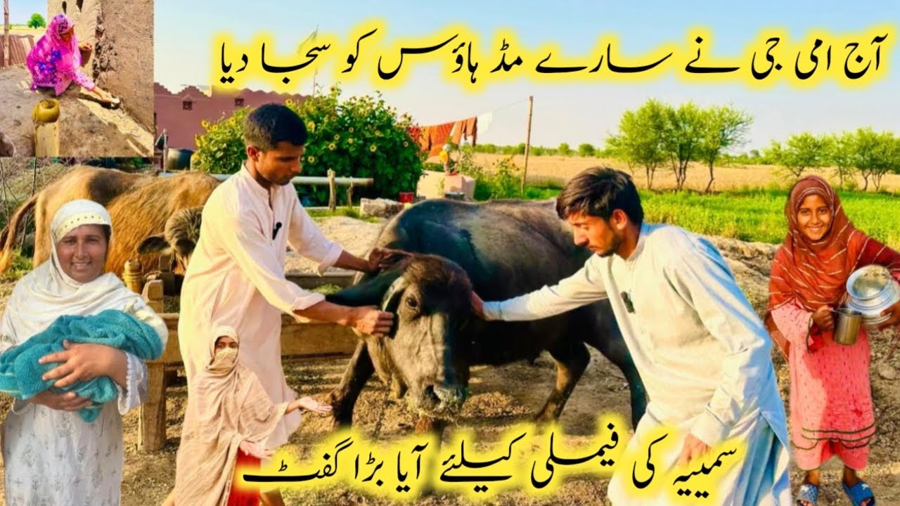 Summayya Ki Family Kliay Aaya Barra Gift 🎁 Village Vlogs 