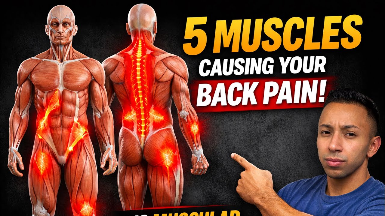 Back Pain Isn’t Your Spine — These 5 Tight Muscles Are the Real Problem (How to Fix Them)