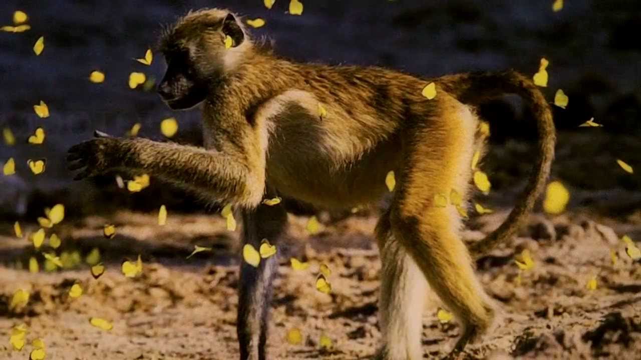 Nature's Best Photography for 2013 at the Smithsonian Natural History Museum