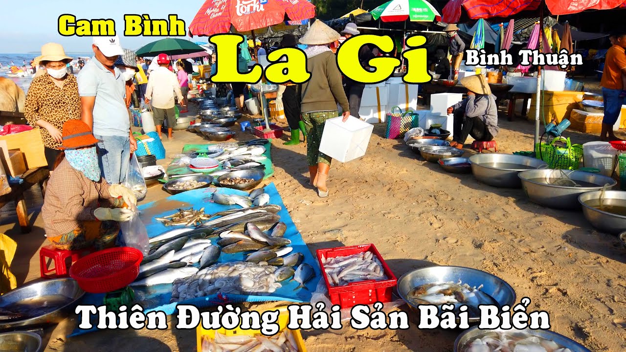Bãi Tắm Cam Bình La Gi Bình Thuận 2023 | Chi Tiết Mới Nhất Ăn Chơi Ngủ Nghỉ Tại Làng Chài Cam Bình