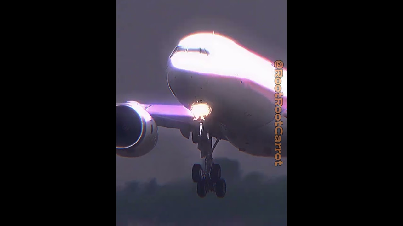 Garuda A330neo🦅| #aviation #avgeeks #plane #planeedits #airlines #airbus #indonesia #garudaindonesia