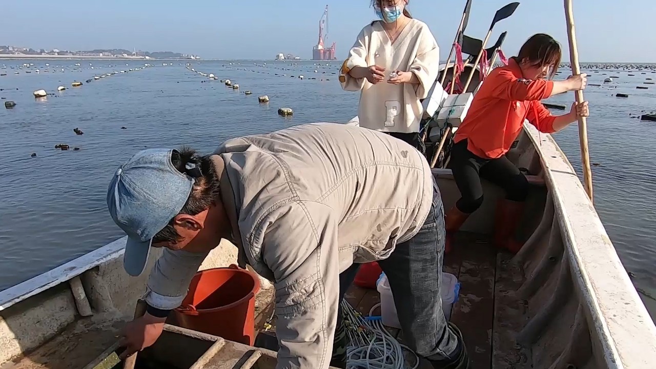 带孩子们去放鲈鱼扣，期待明天鲈鱼多多啊！遇到这种情况也没办法