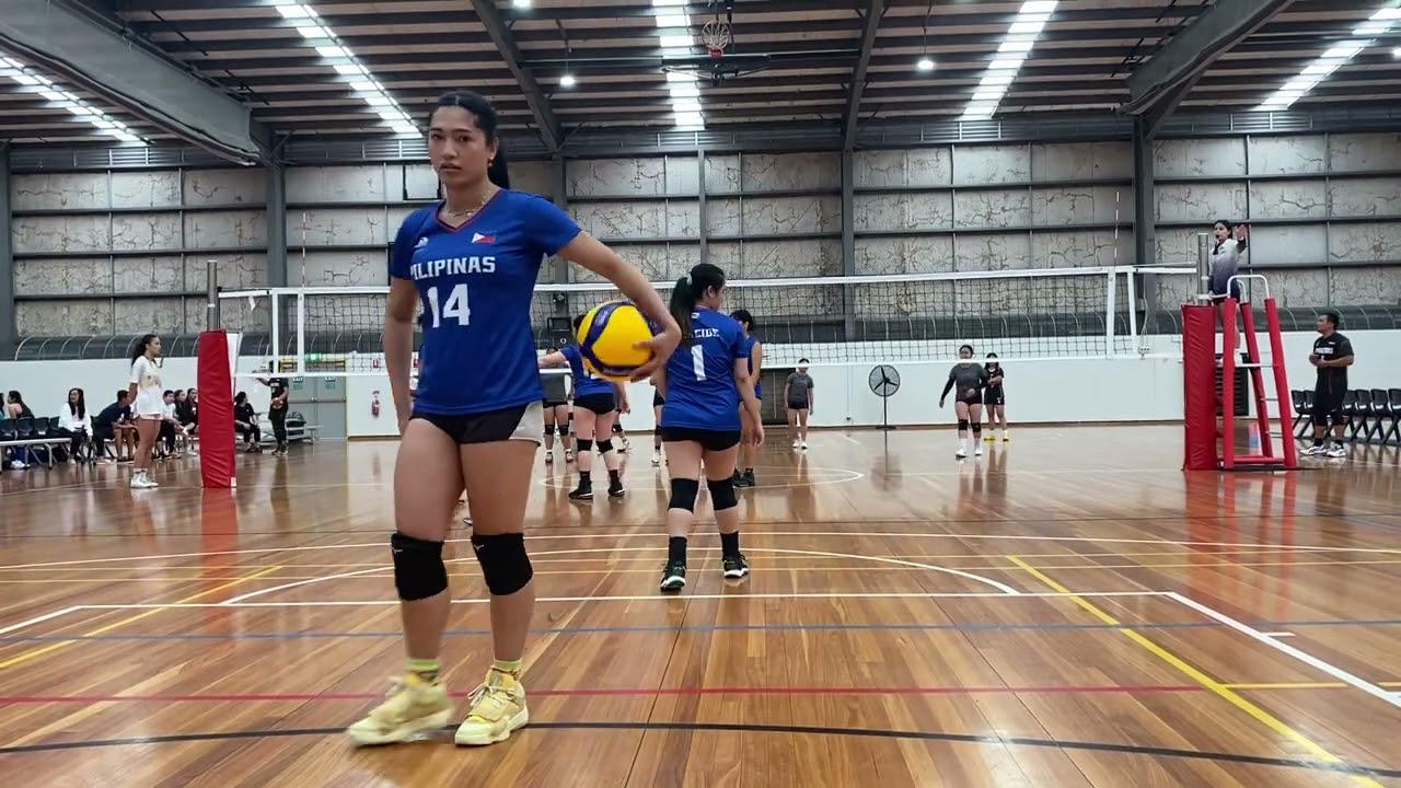 AVT Filo Comp BFVC VS Dalby set 3 only