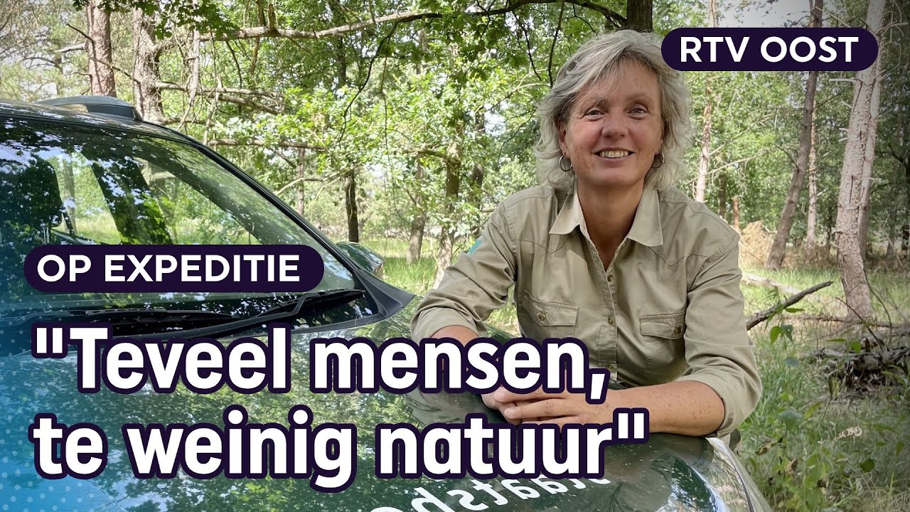 Sallandse Heuvelrug weer van wandelaars: met boswachter Ine natuur in | RTV Oost