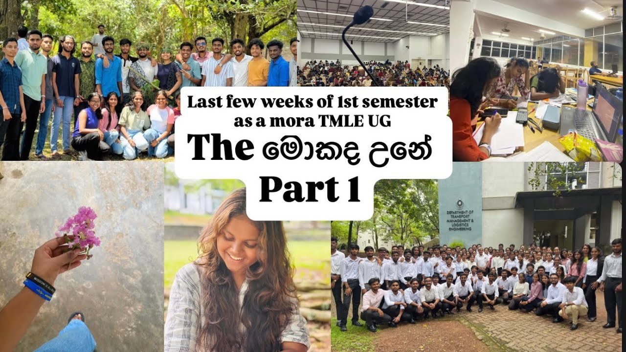 Part01|TMLE’24🎓|Exams😱| PP2💥 | presentation භිශනේ 👩‍🏫| chit chats |soft skill development