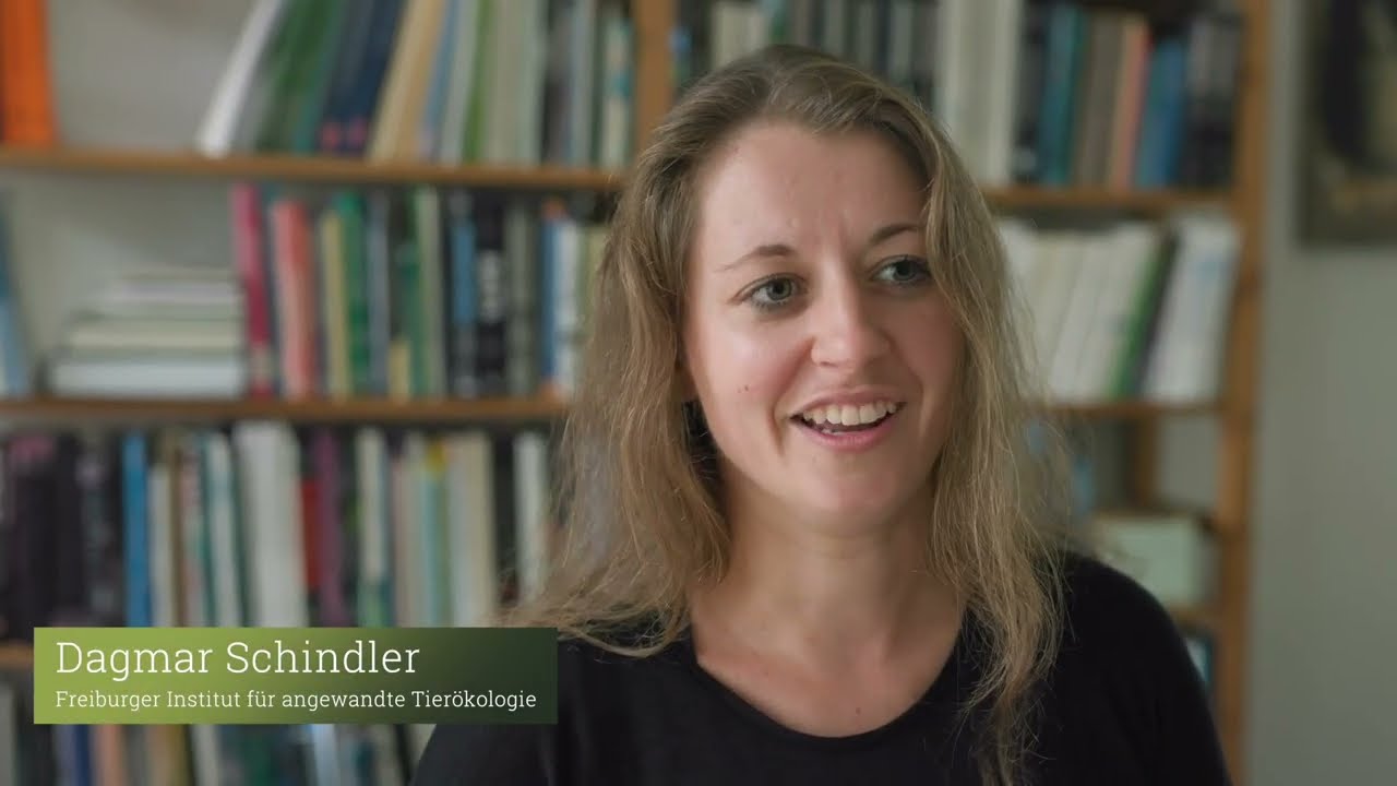 The Project "Protecting and Promoting the Barbastelle Bat in Germany"