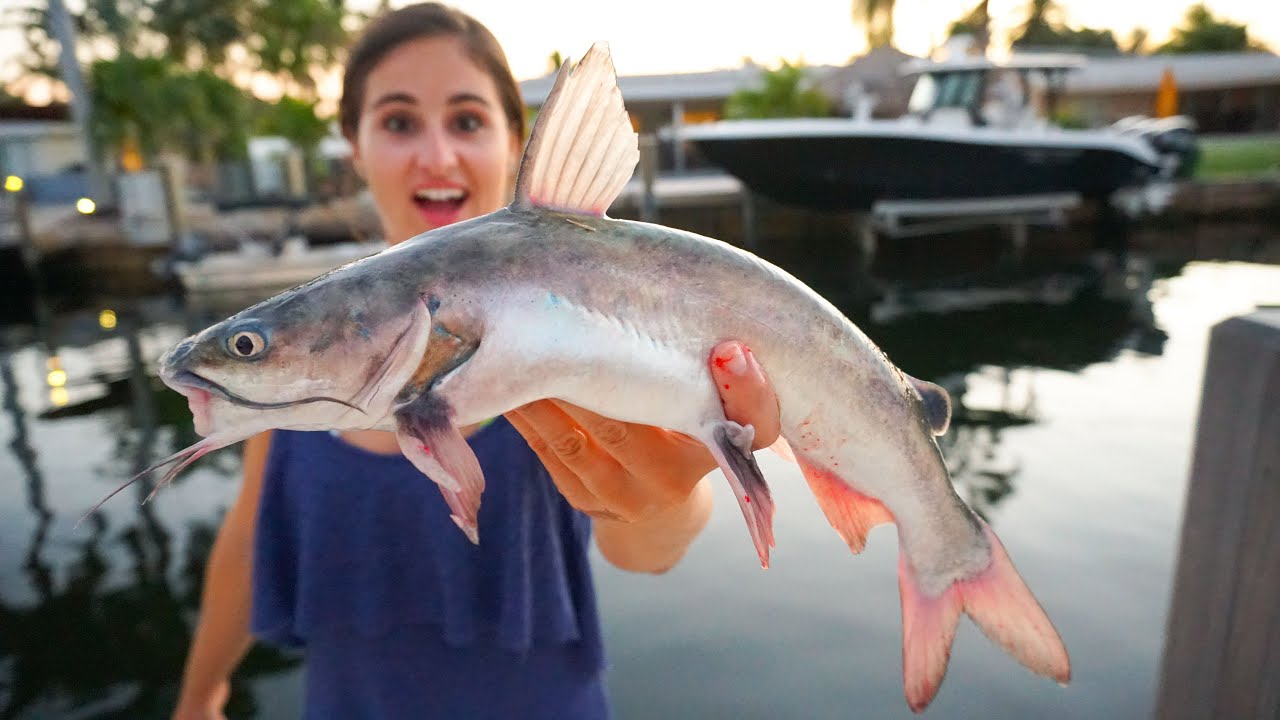 VENOMOUS Catfish Catch Clean COOK! Trash Fish Taste Test!