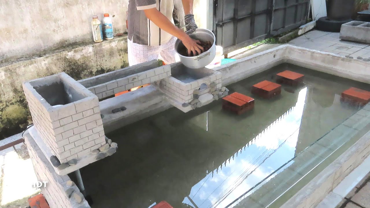 Изготовление аквариумов, водопадов из поролоновых ящиков 15/06/2021