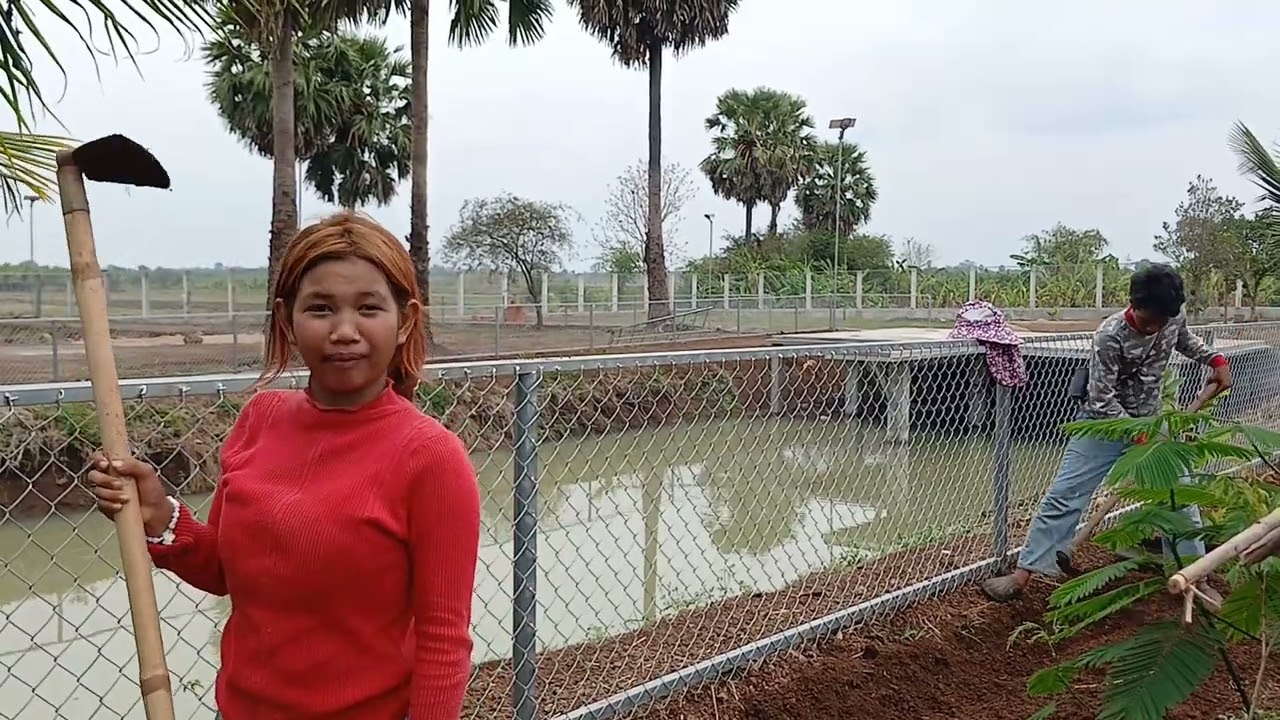 6 មីនា 2026