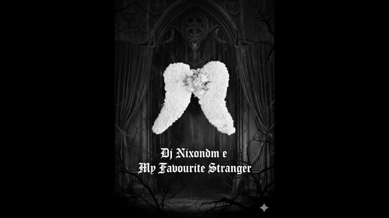 My_Favorite_Stranger__djnixondm