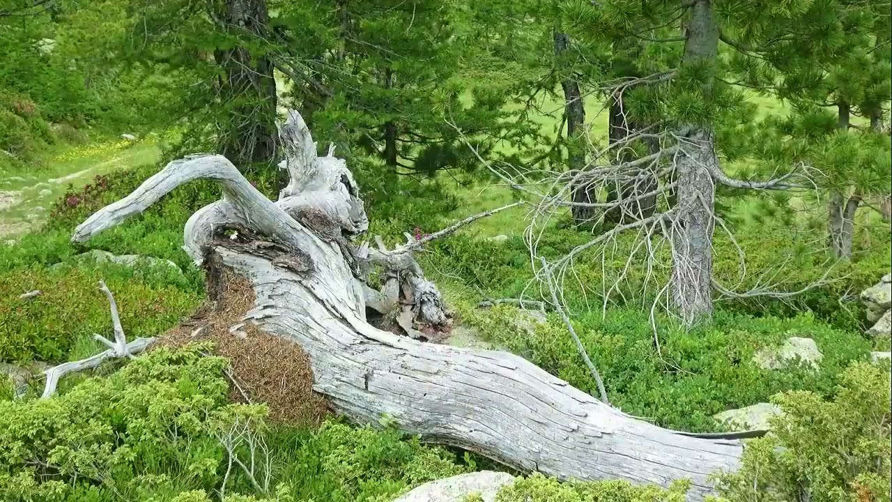 Lac Nègre et Graveirette
