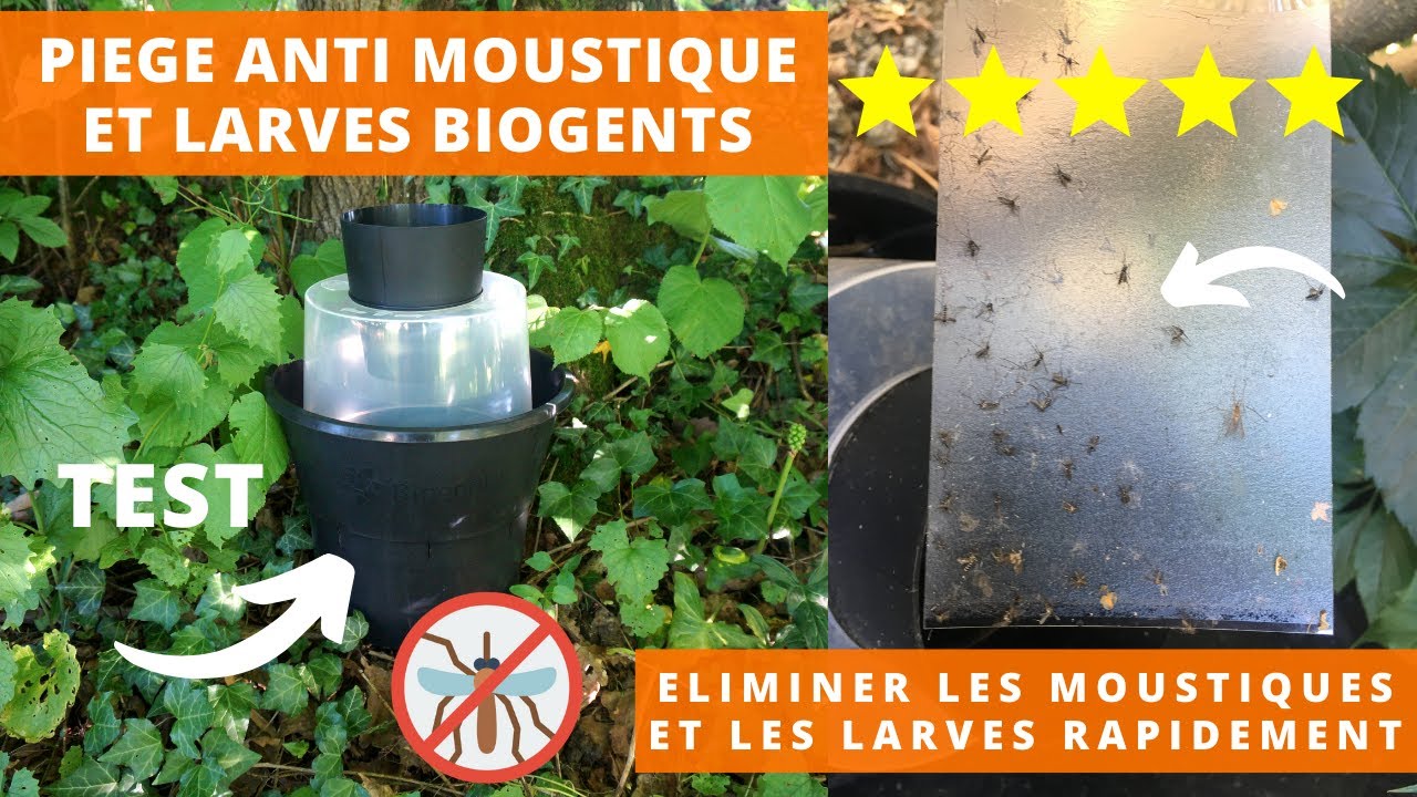 TEST Piège anti larves moustiques Biogents BG-GAT : Positionnement, résultat, montage...