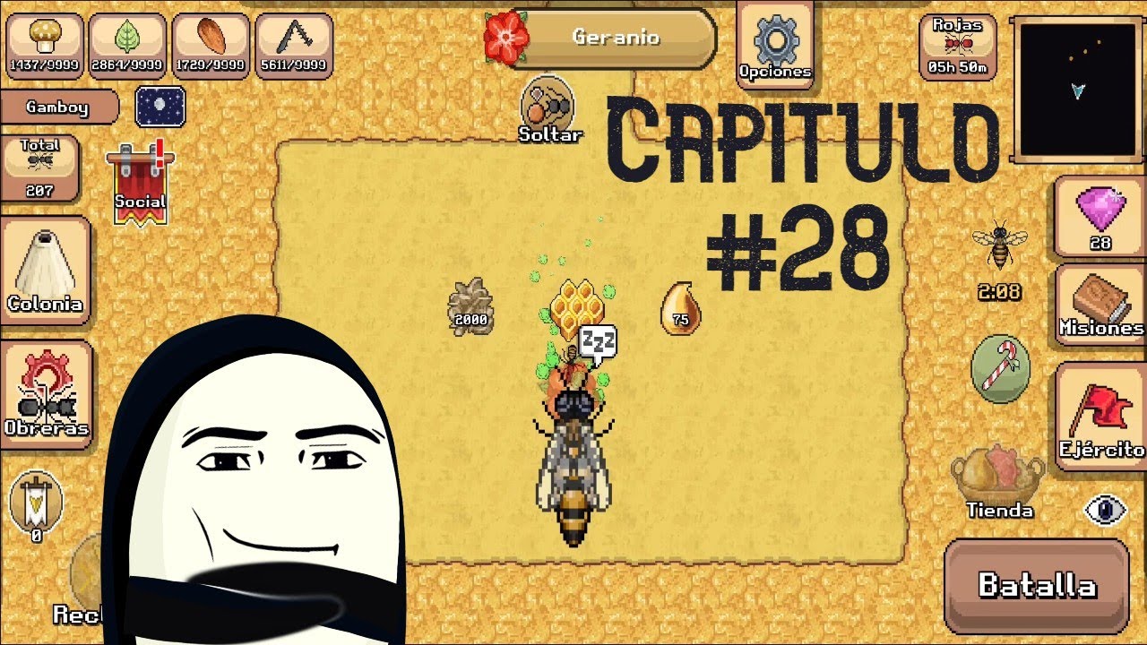 Pasando la colmena y consejos || Capitulo 28 || Pocket Ants