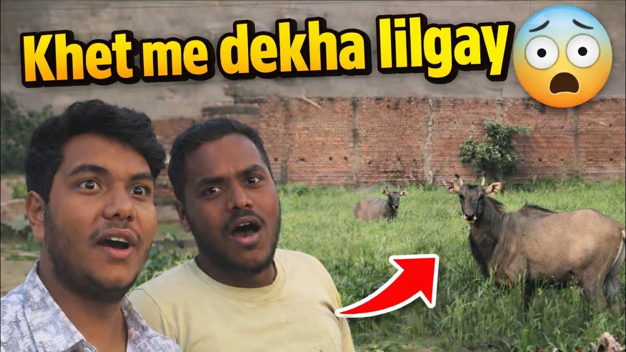 Khet Me Dekha Lilgaye 😱