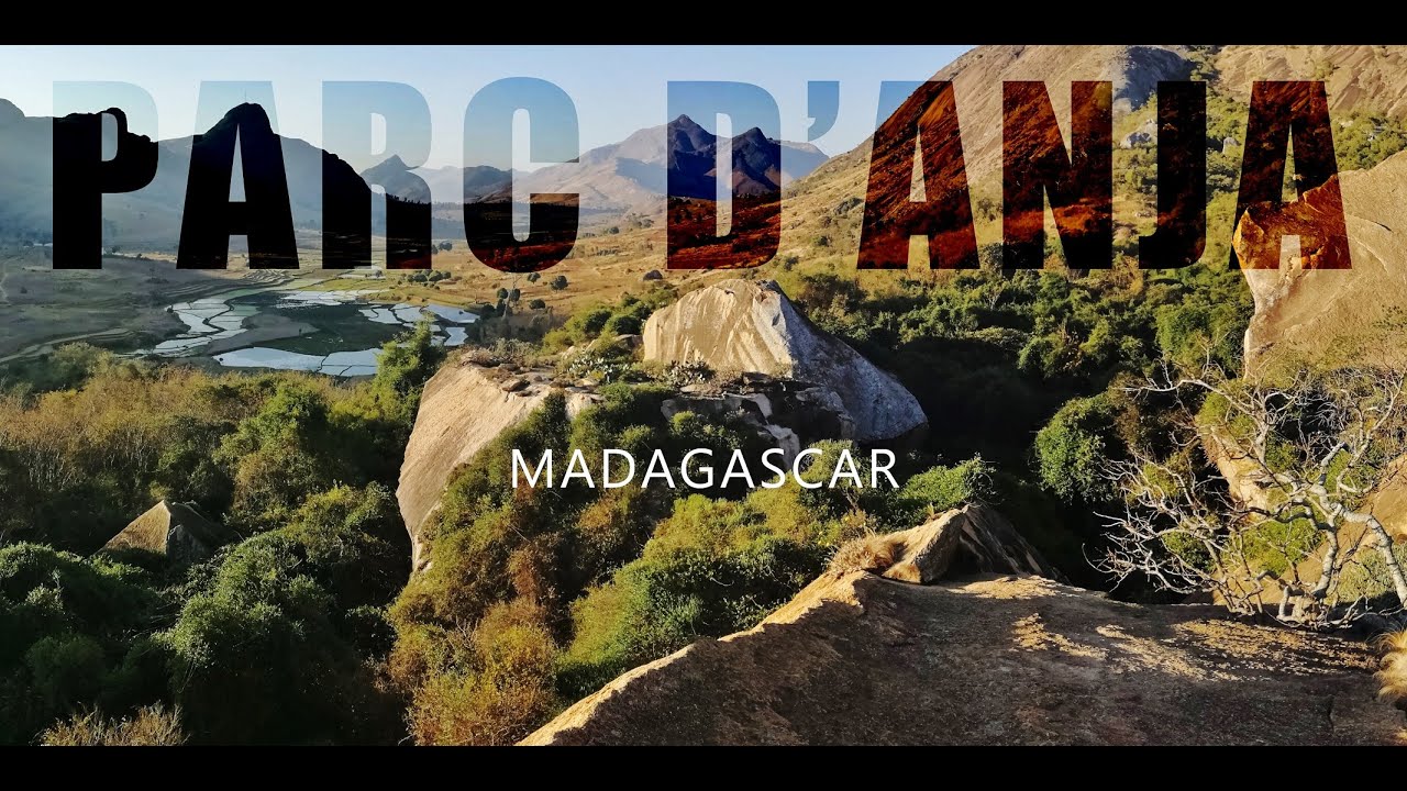 Madagascar | Parc d'Anja