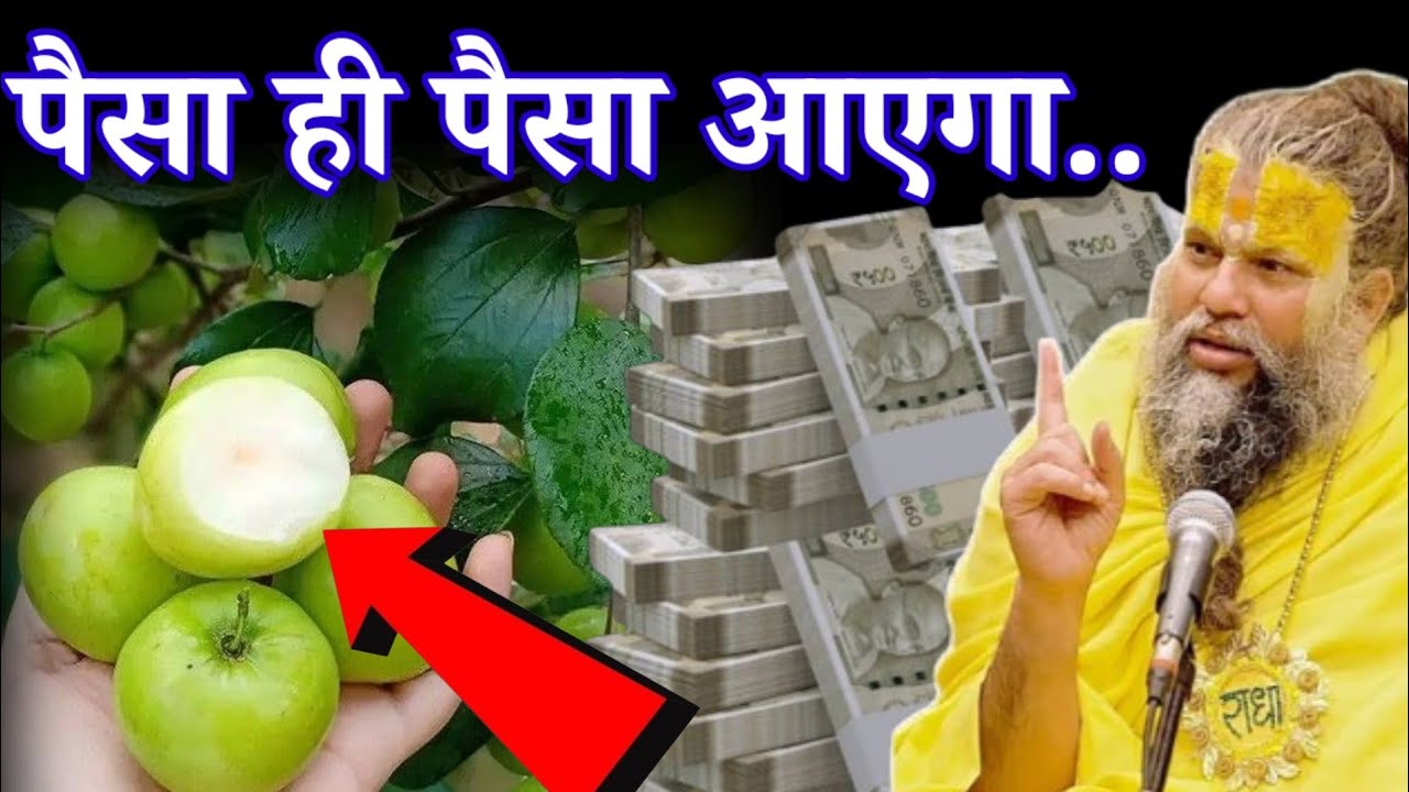 जिस दिन से ये पत्ता 😱 अपने घर में रखना शुरू करोगे उसी दिन से मालामाल बन जाओगे, करोड़पति बनोगे