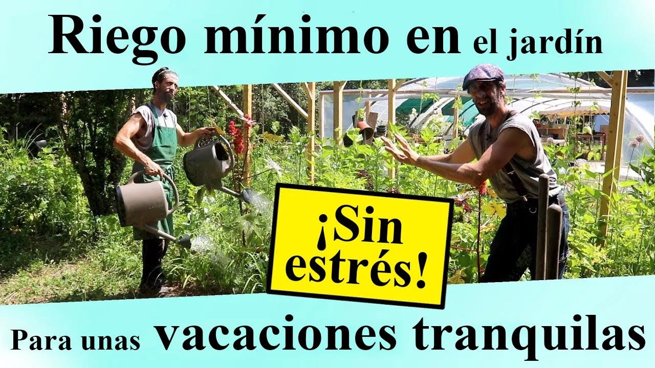 Cómo regar tu jardín al mínimo para irte de vacaciones sin preocuparte
