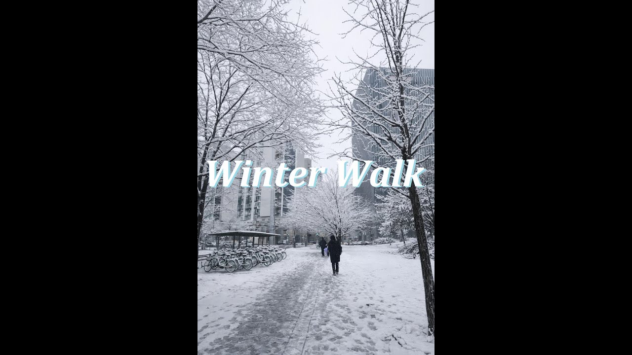 [Focus BGM/1hr] ❄️ 눈 내린 도심의 겨울 출근길 🌫️ Winter City Morning Walk Ambient ❄️