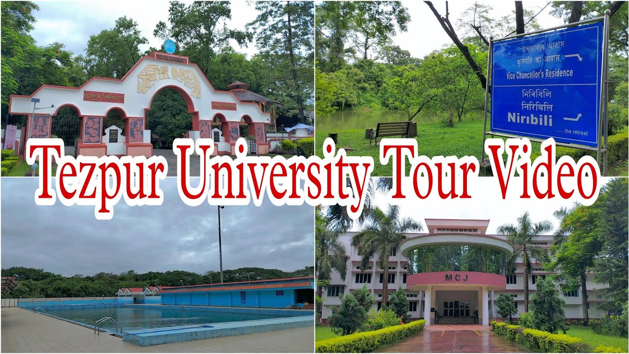 Tezpur University Tour Video🏢💚 নিৰিবিলি😍 #tezpuruniversity #universitytour #students #universitylife