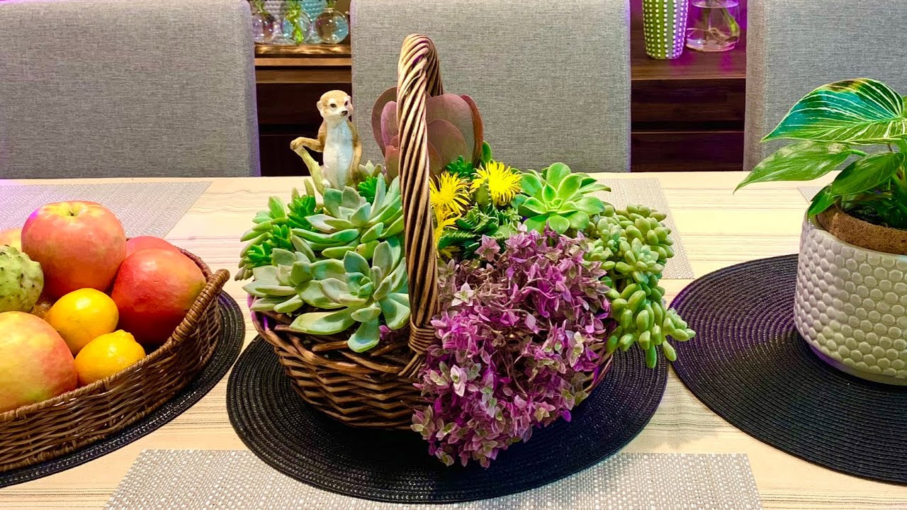 Succulent Arrangement in Repurposed Old Wicker Basket