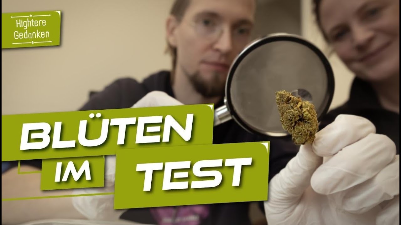 Der gro&szlig;e Apotheken-Weed-Check &ndash; Ein Tag als Cannabis Experte bei imc (Indica / Sativa Part 1)