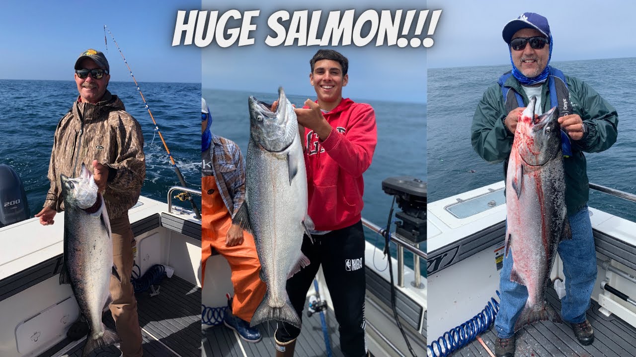 Bodega Bay Salmon fishing July 2021!!! Big fish!!!