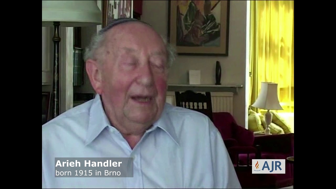 Arieh Handler - message
