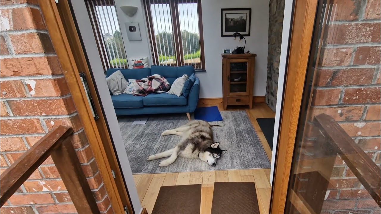 It's So Bad That Even Sherpa Doesn't Want To Come With Me!