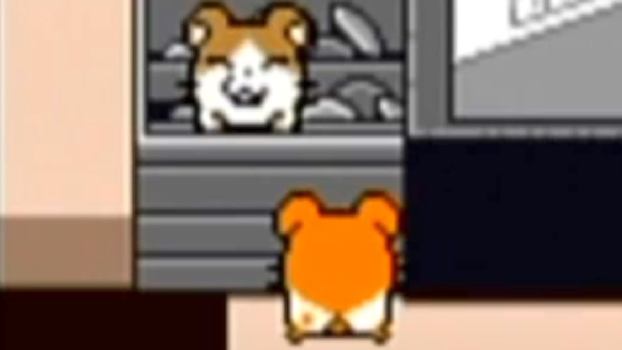 Hamtaro: Ham-Hams Unite! Walkthrough Part 9 (Howdy Version) - Sunflower Market (2/2)
