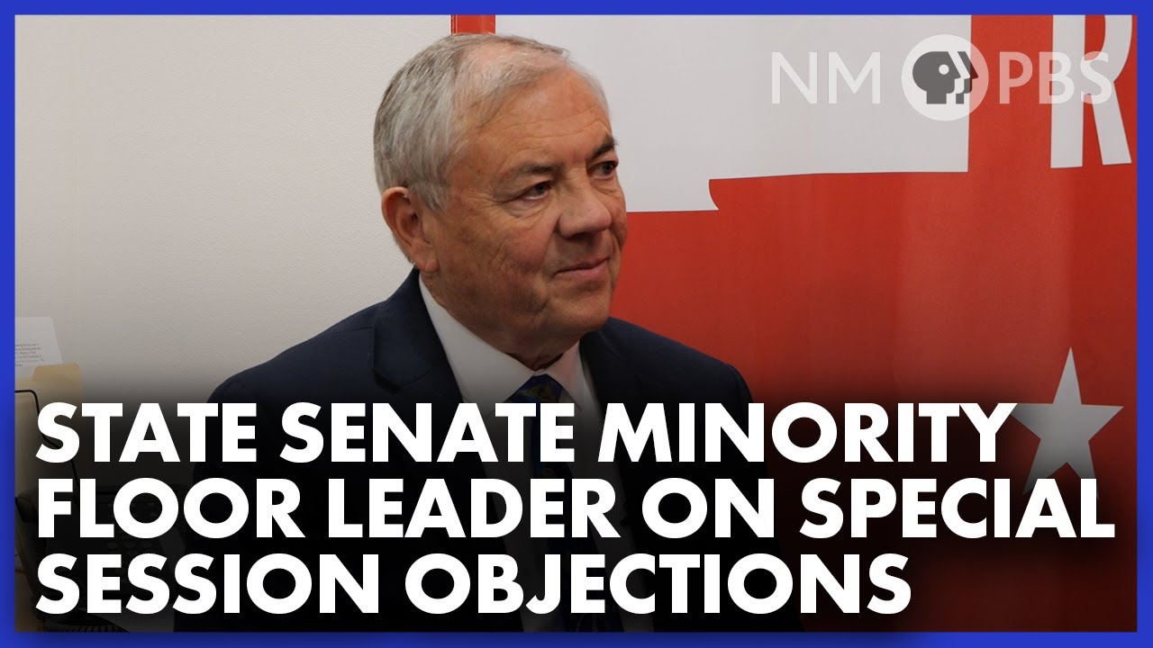 Senate Minority Leader on Special Session, Political Violence
