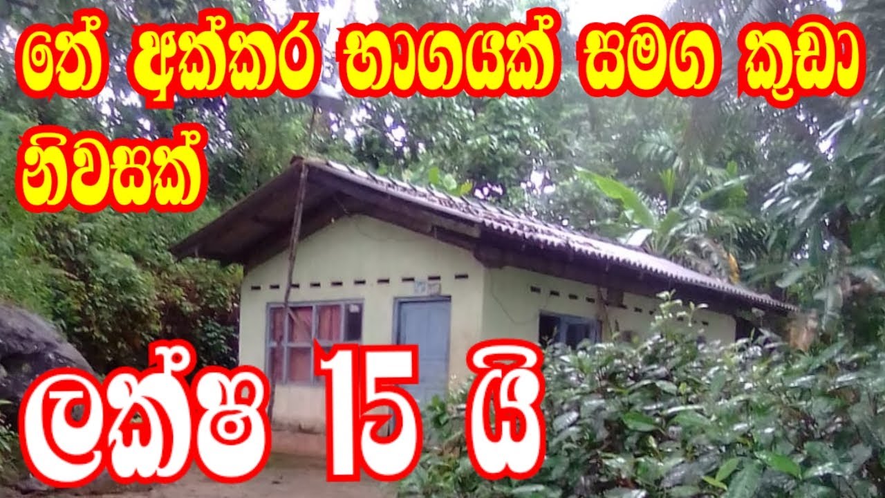 Low Budget House for Sale In Rathnapura / 80prch Tea Estate / 5 km To Rathnapura /Best Selling