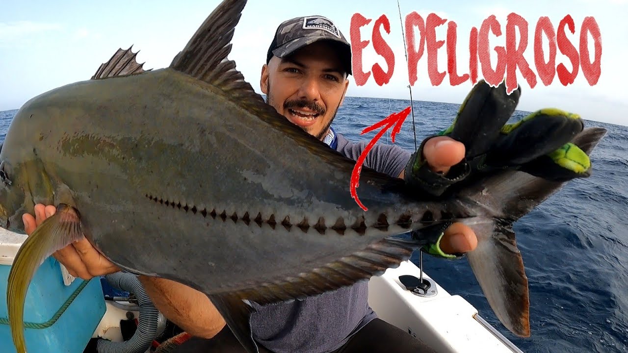 Black Adam versión Pez , PESCA y ENORME SORPRESA en Costa NORTE jigging Part 1