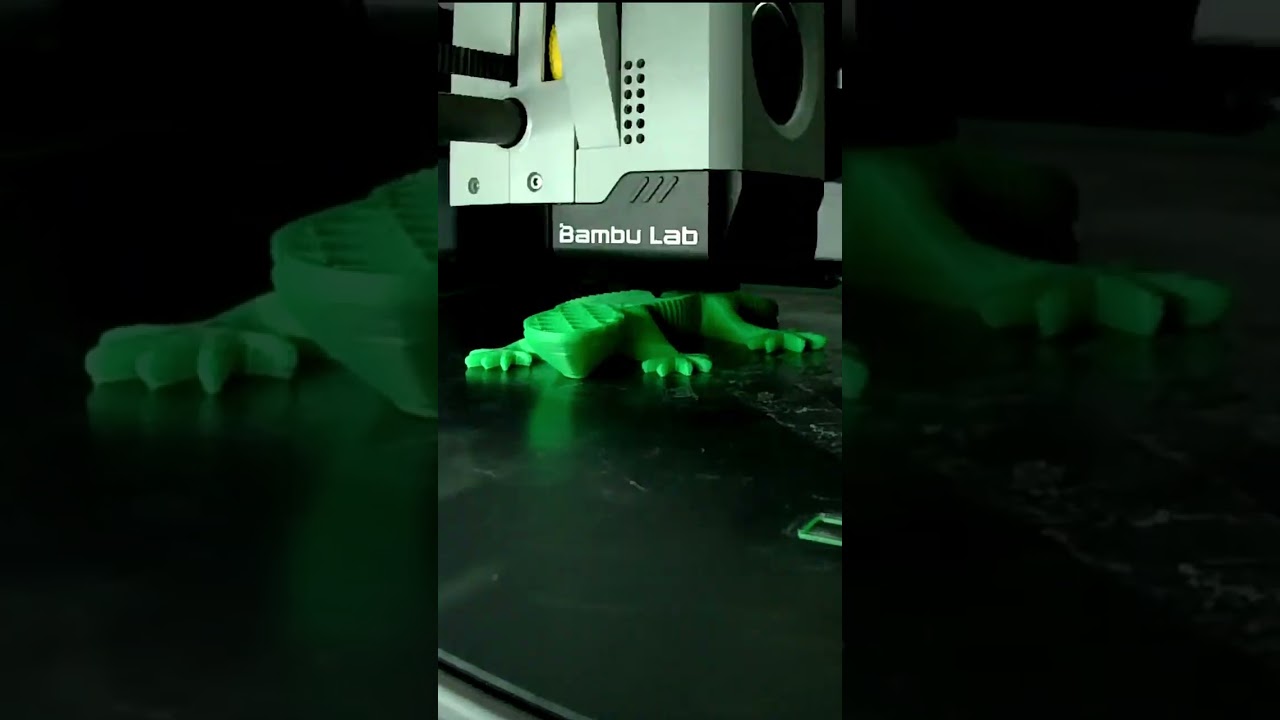 Gecko 3D printing timelapse
