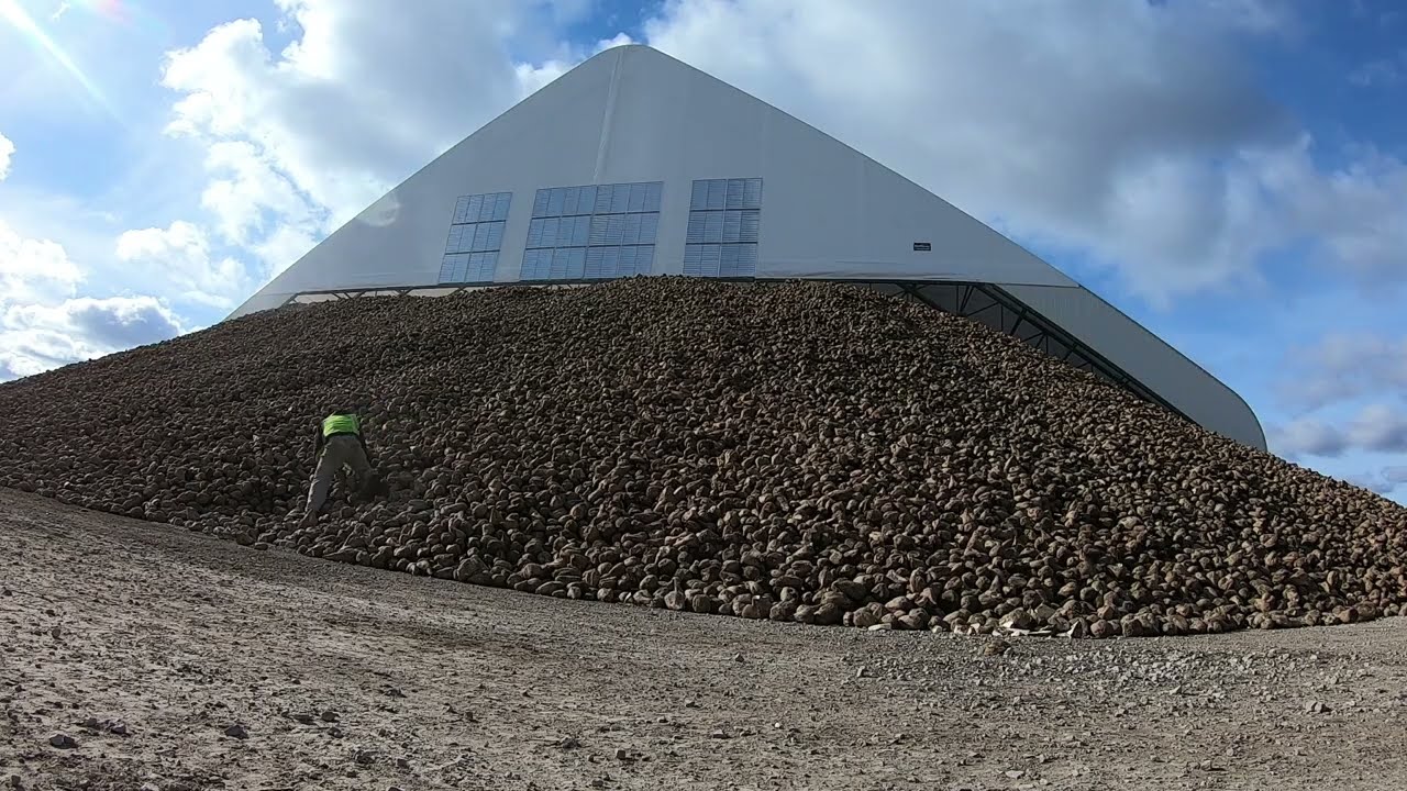 Michigan Sugar Beet Harvest 2022