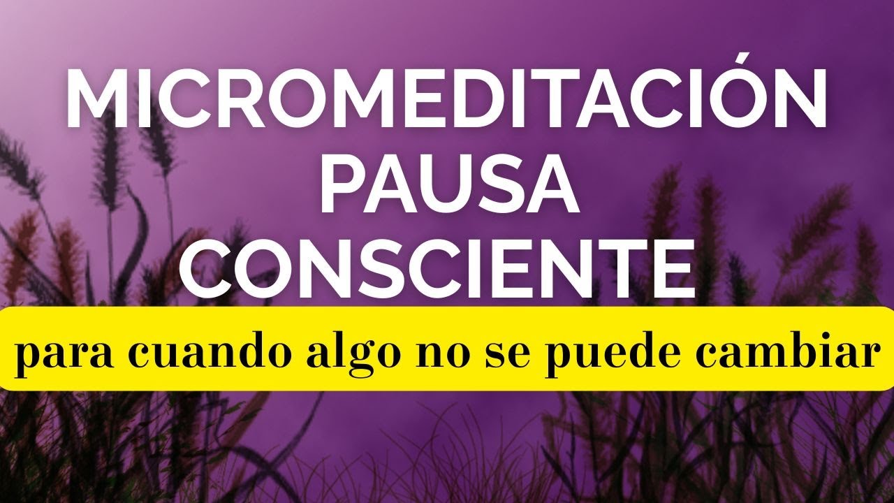 Micromeditaci&oacute;n pausa consciente para esos momentos en los que las cosas no se pueden cambiar