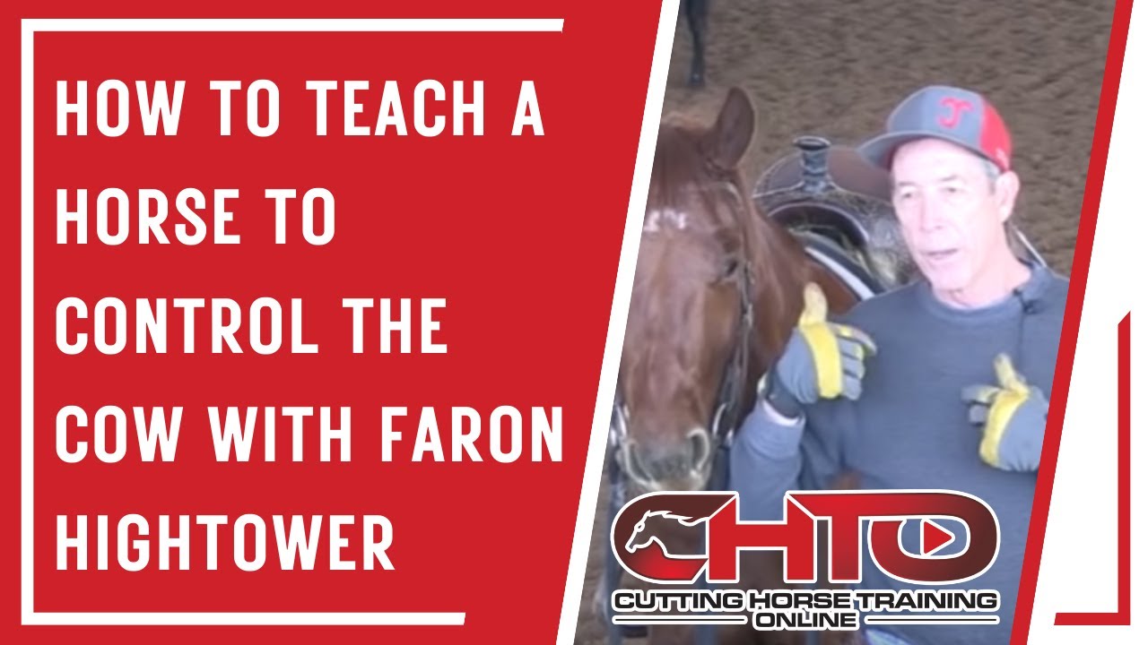 How To Teach A Horse To Control The Cow with Faron Hightower