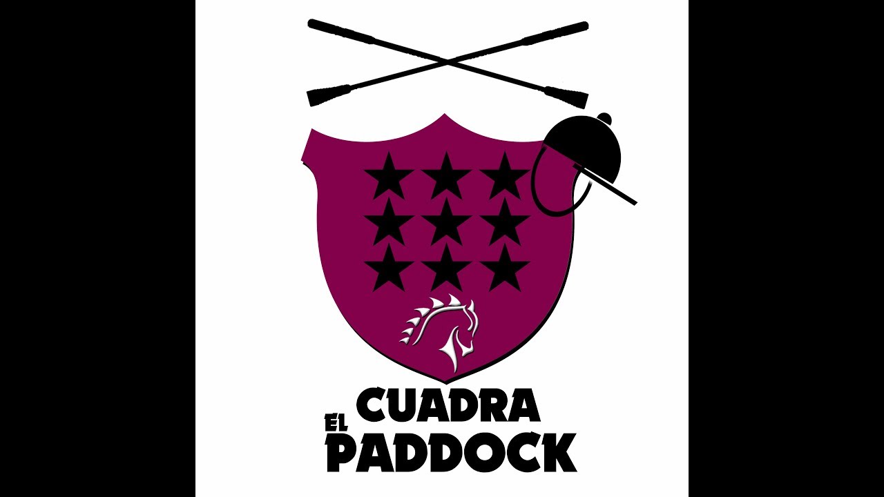 CUADRA EL PADDOCK carreras de MIND THE GAP, turf por Maspalomas
