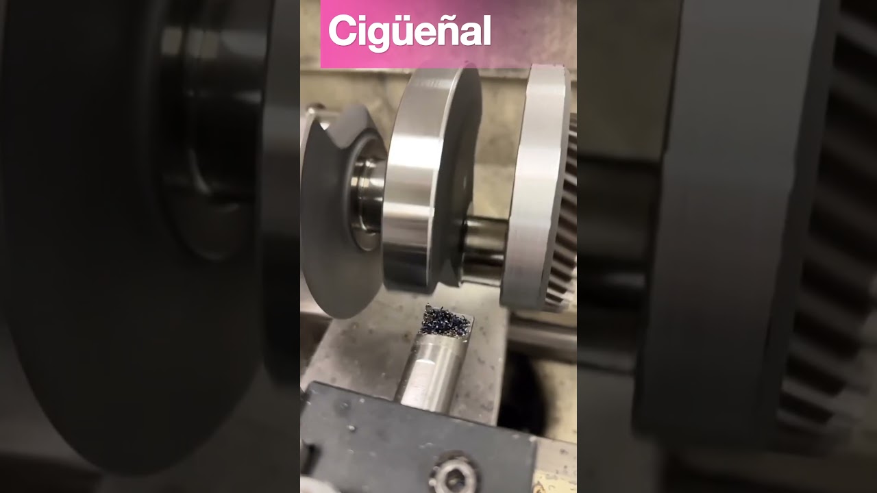 El cigue&ntilde;al