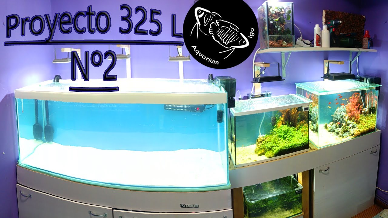 💦CICLAR ACUARIO CON PECES DENTRO. RAPIDO con Bacterias FLUVAL CYCLE y Filtro apoyo Mochila Ciclado.